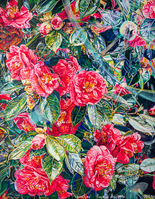 Camelias