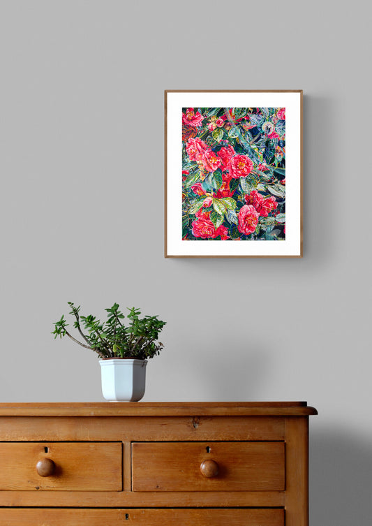Camelias
